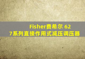 Fisher费希尔 627系列直接作用式减压调压器